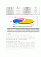 국순당의 성공기업 경영 및 마케팅전략(A+레포트) 4페이지