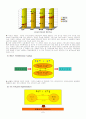 (환경오염) 환경문제에 대한 이론적 관점과 환경문제 대책방안 7페이지