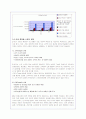 더페이스샵(화장품)의 성공 경영전략 분석과 마케팅 전략(A+레포트) 10페이지