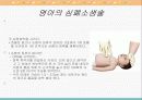 [PPT] 심폐소생술 32페이지