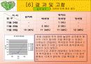 빛의파장에따른 종자발아와 종자발아의 억제와 촉진요인에 대한 실험 14페이지