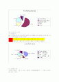 노인학대문제 10페이지