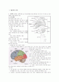 정신간호학과 관련된 기초분야 2페이지