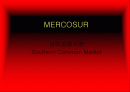 MERCOSUR, 남미공동시장에 대하여 1페이지
