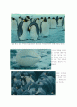 [환경 영화] 펭귄, 위대한 모험 (March of the Penguins) 감상문 3페이지