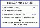 블루오션 전략 비평 5페이지