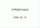 단백질(Protein) 1페이지
