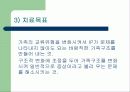 [가족과상담]구조적가족치료의 이해 5페이지