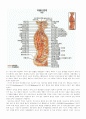 스포츠 마사지에 대하여 8페이지