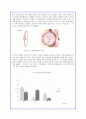 로만손 기업경영과 해외진출 마케팅 전략분석(A+자료) 13페이지