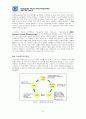 가상조직의 이론과 실제 - Virtual Organization 8페이지