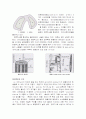 섬유 구조 (면섬유의 미시적 구조, 케라틴과 피브로인의 구조, 기기분석을 통한 섬유의 구조) 5페이지