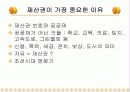 정부의 경제정책과 시장경제 7페이지