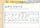 한국경제와 농업의 당면과제와 발전방향 13페이지