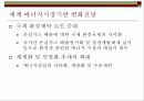 대체에너지와 개발  (대체에너지의 필요성과 현실 및 개발 방안) 7페이지