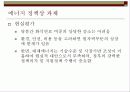 대체에너지와 개발  (대체에너지의 필요성과 현실 및 개발 방안) 13페이지