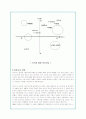 나이키의 글로벌 마케팅 전략 및 경쟁사분석(A+자료) 29페이지