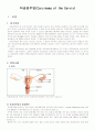 자궁경부암 (Carcinoma of the Cervix) 1페이지