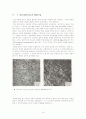 Microstructural Analysis (미시구조 분석) 20페이지