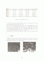 Microstructural Analysis (미시구조 분석) 27페이지