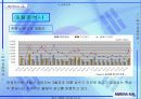대한항공 마케팅분석과 광고기획안(A+레포트) 61페이지