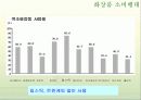 [광고기획서]라끄베르(Lacvert)기업분석과 광고기획안 - 분석, SWOT분석, 브랜드 자산, 광고 분석 13페이지