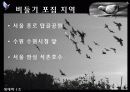 비둘기 체내 중금속 오염 모니터링 6페이지