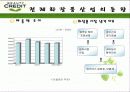 뷰티크레딧의 마케팅분석과 광고분석(A+레포트) 4페이지