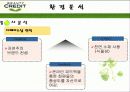 뷰티크레딧의 마케팅분석과 광고분석(A+레포트) 11페이지