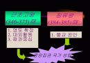 [역사, 국사] 삼국의 발전(백제고구려신라에 대한 발전사항을 정리) 12페이지