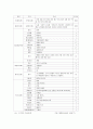 대한항공의 마케팅 전략 19페이지