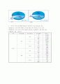 대한항공의 마케팅 전략 20페이지