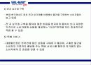 월마트 실패 원인 분석 63페이지