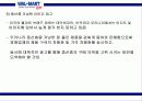 월마트 실패 원인 분석 64페이지