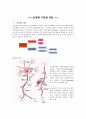 신경계 구조와 기능 1페이지