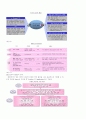 LG전자의 지식경영 프로세스. 6페이지