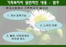 (가족복지) 한국의 가족복지 및 수발 가족들을 위한 복지 서비스 실태 및 문제점 해결방안 발표자료 7페이지