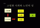 (노인복지) 노인의 성생활 실태와 문제점 노인의 성 문제 해결방안 3페이지