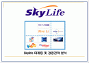Skylife 마케팅 및 경영전략 분석 1페이지