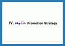 Skylife 마케팅 및 경영전략 분석 28페이지