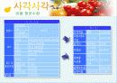 [경제]창업(사업계획서) 12페이지