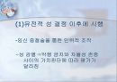 (생명윤리) 산전 진단, 성감별, 대리출산에 대한 사회&문화&윤리학적 관찰과 이론적 고찰 10페이지