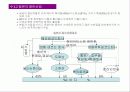 마케팅 전략 분석 - 일본 음반산업의 실태와 BoA 보아의 일본시장 진출 성공사례 분석 13페이지