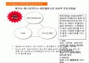 마케팅 전략 분석 - 일본 음반산업의 실태와 BoA 보아의 일본시장 진출 성공사례 분석 30페이지