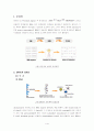 central Dogma(중심설)에 관하여 3페이지