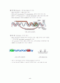 central Dogma(중심설)에 관하여 10페이지