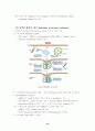 central Dogma(중심설)에 관하여 21페이지