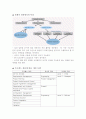 [소프트웨어공학] CMMi 4페이지