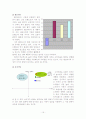 라네즈 마케팅 기법 15페이지