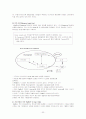 페덱스의 전략 분석 32페이지